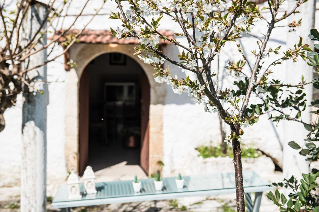 Traditional House Alikampos エクステリア 写真